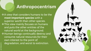 environment human person. Philosophy intro | PPTX