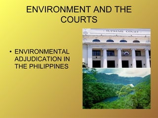 ENVIRONMENT AND THE COURTS ,[object Object]