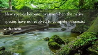 New species become invasive when the native
species have not evolved to compete or coexist
with them.
 