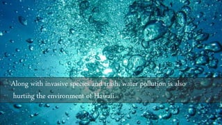 Along with invasive species and trash, water pollution is also
hurting the environment of Hawaii.
 