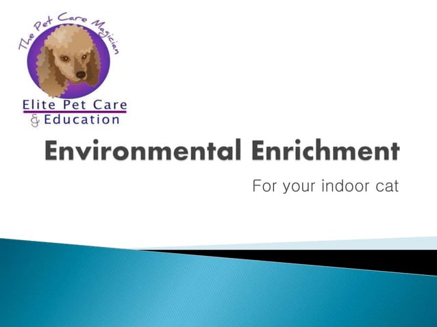 Environment enrichment for indoor cats | PPT - Cat Aggression Prevention With Environmental Enrichment