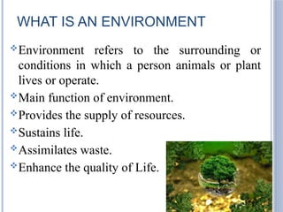 Explain If Environment Environment Basics for Elementary School Students | PPTX