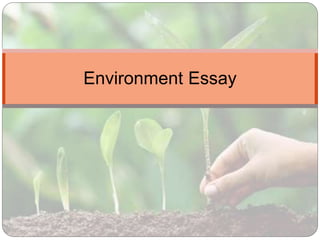 Environment Essay
 