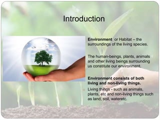 environment essay