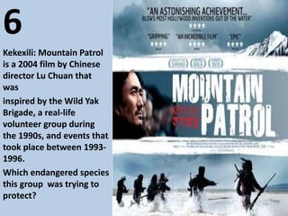 6
Kekexili: Mountain Patrol
is a 2004 film by Chinese
director Lu Chuan that
was
inspired by the Wild Yak
Brigade, a real-life
volunteer group during
the 1990s, and events that
took place between 1993-
1996.
Which endangered species
this group was trying to
protect?
 