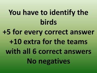 You have to identify the
birds
+5 for every correct answer
+10 extra for the teams
with all 6 correct answers
No negatives
 