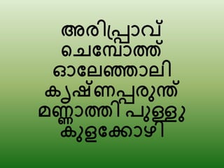 അരിപ്പ്രാവ്
ചെമ്പാത്ത്
ഓമ്േഞ്ഞാേി
കൃഷ്ണരരുന്ത്
മണ്ണാത്തി പുള്ളു
കുളമ്കാഴി
 