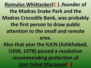 Romulus Whittacker(C ) ,founder of
the Madras Snake Park and the
Madras Crocodile Bank, was probably
the first person to draw public
attention to the small and remote
area.
Also that year the IUCN (Ashkhabad,
USSR, 1978) passed a resolution
recommending protection of
Lion tailed Macaque(D)
 