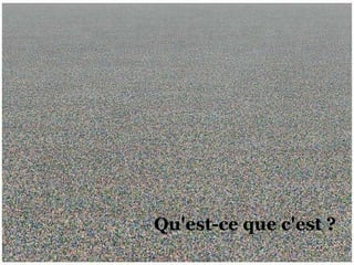   Qu'est-ce que c'est ? 
