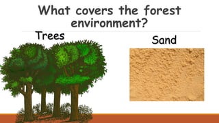 What covers the forest
environment?
TreesTrees SandSand
 