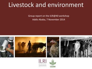 Livestock and environment 
Group report on the ILRI@40 workshop 
Addis Ababa, 7 November 2014 
 