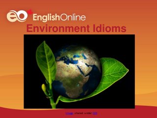 Environment Idioms
Image shared under CC0
 