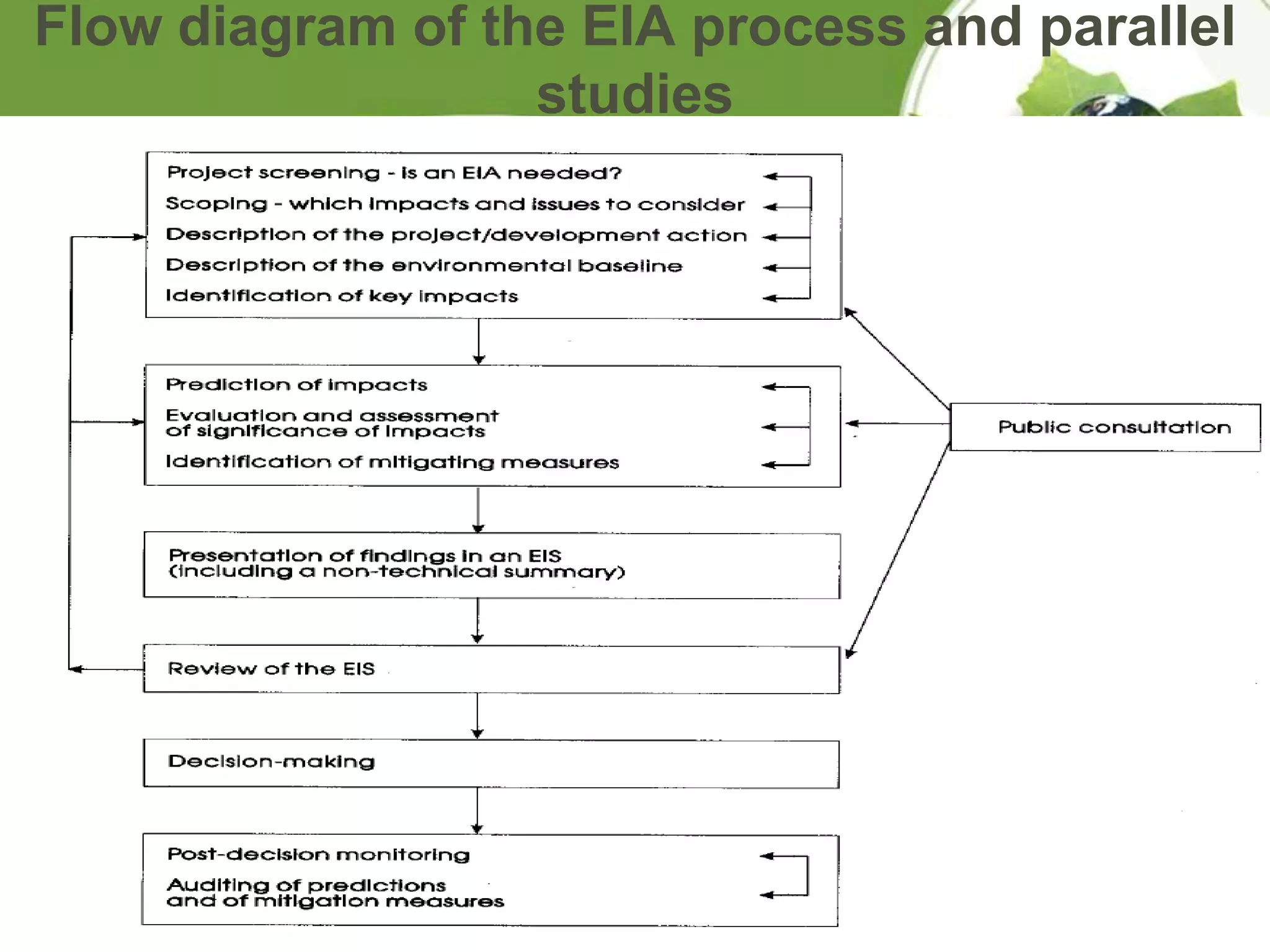 Flow diagram of the EIA process and parallel
                  studies
 