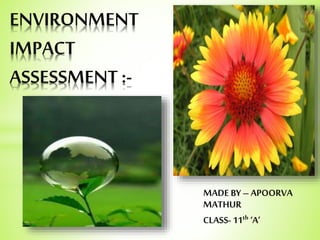 MADE BY – APOORVA
MATHUR
CLASS-11th ‘A’
ENVIRONMENT
IMPACT
ASSESSMENT :-
 