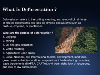 What Is Deforestation ?
Deforestation refers to the cutting, clearing, and removal of rainforest
or related ecosystems into less bio-diverse ecosystems such as
pasture, cropland, or plantations
What are the causes of deforestation?
1. Logging
2. Mining
3. Oil and gas extraction
4. Cattle ranching
5. Agriculture: Cash crops
6. Local, National, and International factors: development, land titles,
government subsidies to attract corporations into developing countries,
trade agreements (NAFTA, CAFTA), civil wars, debt, lack of resources,
and lack of law enforcement

 
