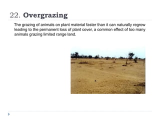 22. Overgrazing
The grazing of animals on plant material faster than it can naturally regrow
leading to the permanent loss of plant cover, a common effect of too many
animals grazing limited range land.
 