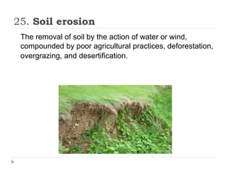 25. Soil erosion
The removal of soil by the action of water or wind,
compounded by poor agricultural practices, deforestation,
overgrazing, and desertification.
 