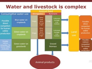 Livestock and water