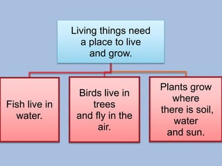 Living things need
a place to live
and grow.
Fish live in
water.
Birds live in
trees
and fly in the
air.
Plants grow
where
there is soil,
water
and sun.
 