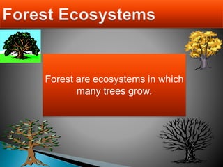 Forest are ecosystems in which
many trees grow.
 