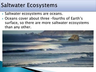  Saltwater ecosystems are oceans.
 Oceans cover about three –fourths of Earth’s
surface, so there are more saltwater ecosystems
than any other.
 