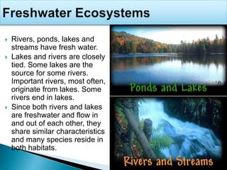  Rivers, ponds, lakes and
streams have fresh water.
 Lakes and rivers are closely
tied. Some lakes are the
source for some rivers.
Important rivers, most often,
originate from lakes. Some
rivers end in lakes.
 Since both rivers and lakes
are freshwater and flow in
and out of each other, they
share similar characteristics
and many species reside in
both habitats.
 