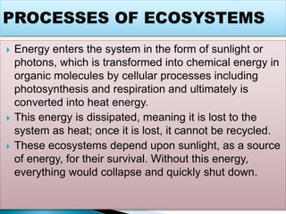  Energy enters the system in the form of sunlight or
photons, which is transformed into chemical energy in
organic molecules by cellular processes including
photosynthesis and respiration and ultimately is
converted into heat energy.
 This energy is dissipated, meaning it is lost to the
system as heat; once it is lost, it cannot be recycled.
 These ecosystems depend upon sunlight, as a source
of energy, for their survival. Without this energy,
everything would collapse and quickly shut down.
 