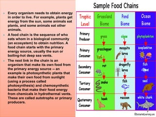  Every organism needs to obtain energy
in order to live. For example, plants get
energy from the sun, some animals eat
plants, and some animals eat other
animals.
 A food chain is the sequence of who
eats whom in a biological community
(an ecosystem) to obtain nutrition. A
food chain starts with the primary
energy source, usually the sun or
boiling-hot deep sea vents.
 The next link in the chain is an
organism that make its own food from
the primary energy source -- an
example is photosynthetic plants that
make their own food from sunlight
(using a process called
photosynthesis) and chemosynthetic
bacteria that make their food energy
from chemicals in hydrothermal vents.
These are called autotrophs or primary
producers.
 