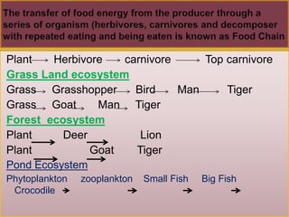 Plant Herbivore carnivore Top carnivore
Grass Land ecosystem
Grass Grasshopper Bird Man Tiger
Grass Goat Man Tiger
Forest ecosystem
Plant Deer Lion
Plant Goat Tiger
Pond Ecosystem
Phytoplankton zooplankton Small Fish Big Fish
Crocodile
 