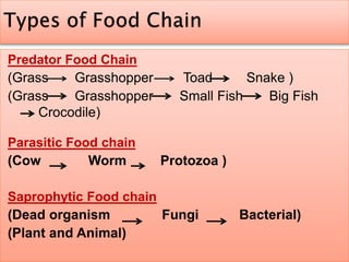 Predator Food Chain
(Grass Grasshopper Toad Snake )
(Grass Grasshopper Small Fish Big Fish
Crocodile)
Parasitic Food chain
(Cow Worm Protozoa )
Saprophytic Food chain
(Dead organism Fungi Bacterial)
(Plant and Animal)
 