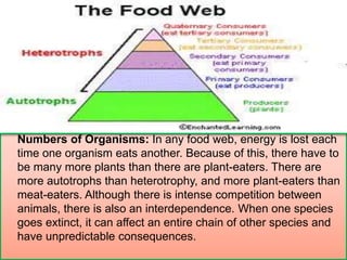 Numbers of Organisms: In any food web, energy is lost each
time one organism eats another. Because of this, there have to
be many more plants than there are plant-eaters. There are
more autotrophs than heterotrophy, and more plant-eaters than
meat-eaters. Although there is intense competition between
animals, there is also an interdependence. When one species
goes extinct, it can affect an entire chain of other species and
have unpredictable consequences.
 