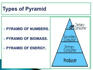  PYRAMID OF NUMBERS.
 PYRAMID OF BIOMASS.
 PYRAMID OF ENERGY.
 