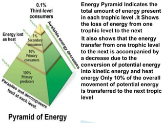 Energy Pyramid Indicates the
total amount of energy present
in each trophic level .It Shows
the loss of energy from one
trophic level to the next
It also shows that the energy
transfer from one trophic level
to the next is accompanied by
a decrease due to the
conversion of potential energy
into kinetic energy and heat
energy Only 10% of the overall
movement of potential energy
is transferred to the next tropic
level
 