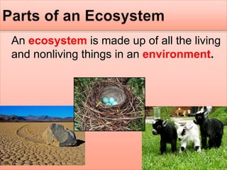 An ecosystem is made up of all the living
and nonliving things in an environment.
 