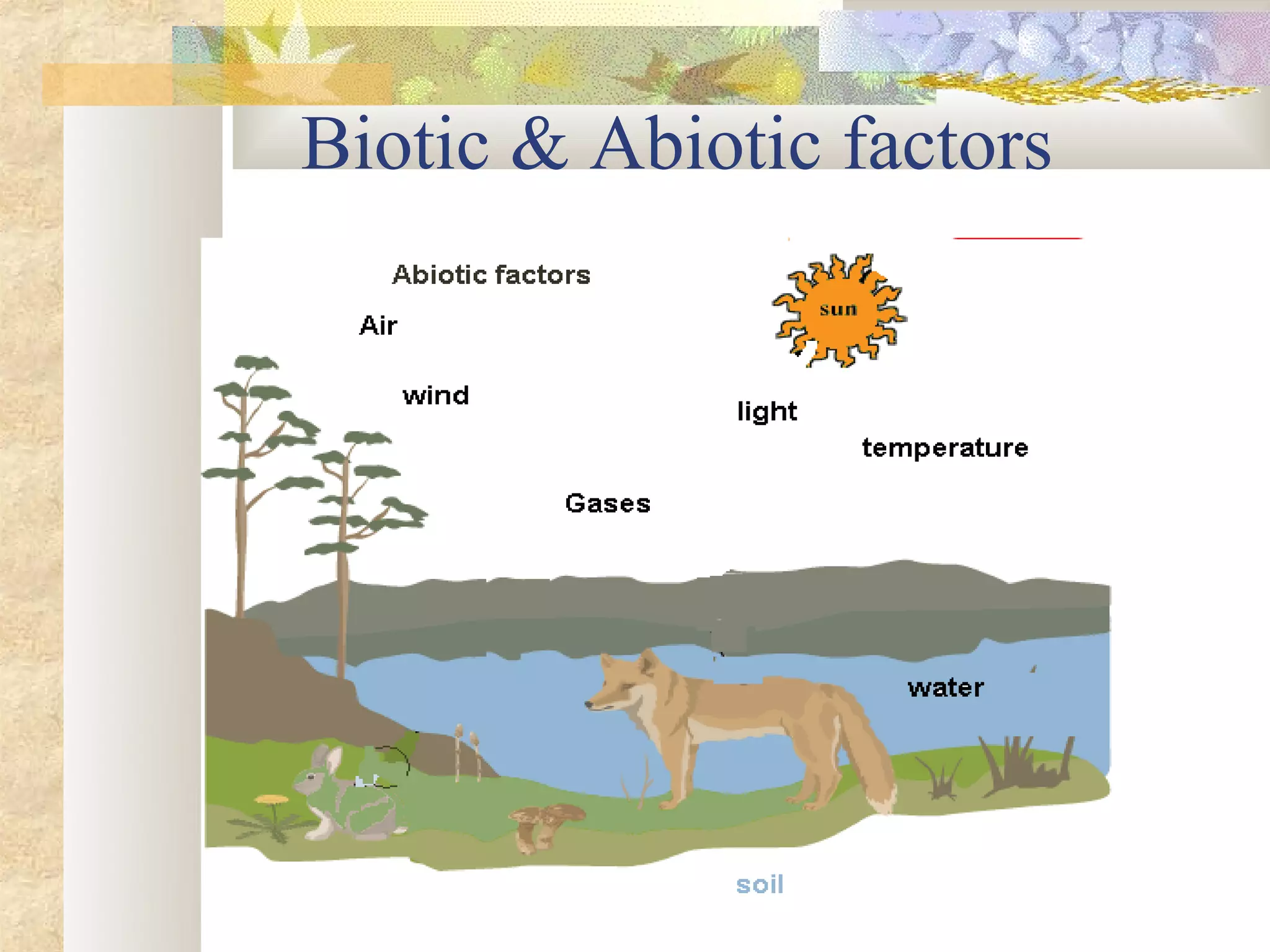 Biotic & Abiotic factors
 