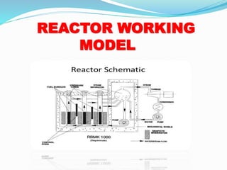 Chernobyl nuclear accident | PPTX