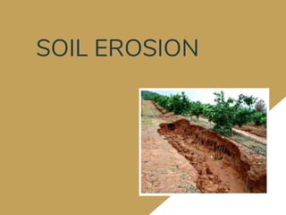 SOIL EROSION
 