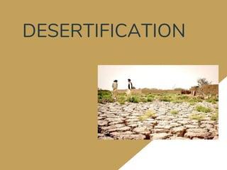 DESERTIFICATION
 