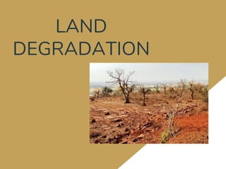 LAND
DEGRADATION
 
