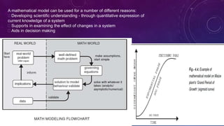 Quantitative Environmental Model Environment modelling and its environmental aspects | PPTX
