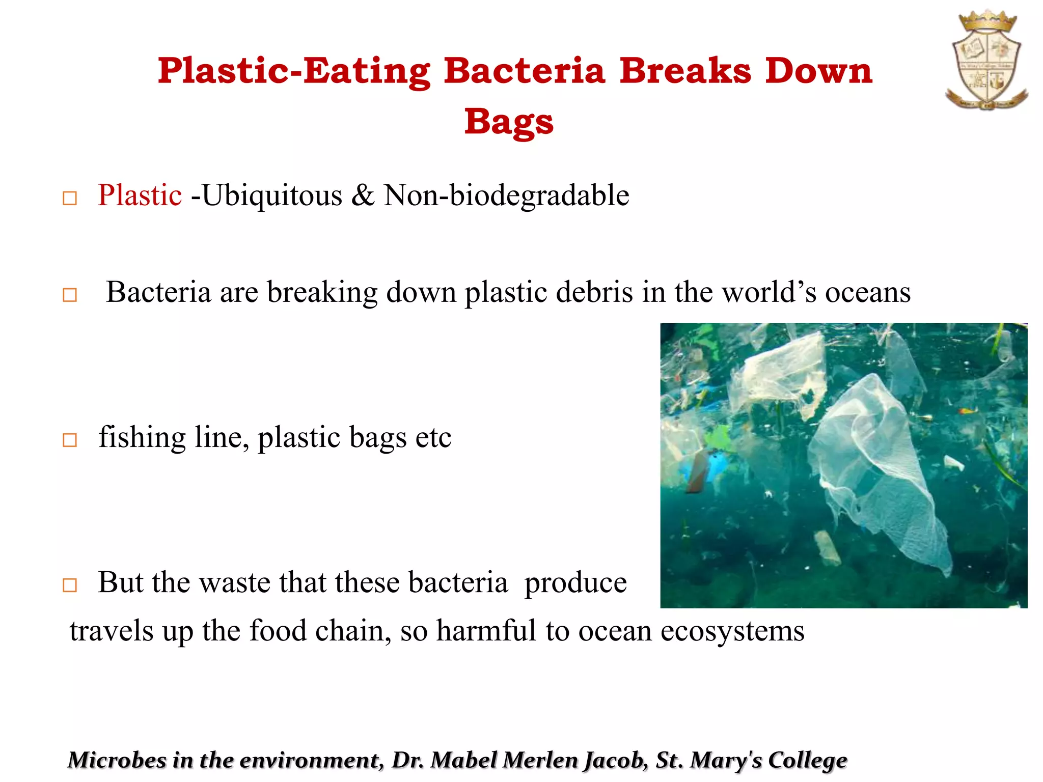  Plastic -Ubiquitous & Non-biodegradable
 Bacteria are breaking down plastic debris in the world’s oceans
 fishing line, plastic bags etc
 But the waste that these bacteria produce
travels up the food chain, so harmful to ocean ecosystems
Plastic-Eating Bacteria Breaks Down
Bags
Microbes in the environment, Dr. Mabel Merlen Jacob, St. Mary's College
 