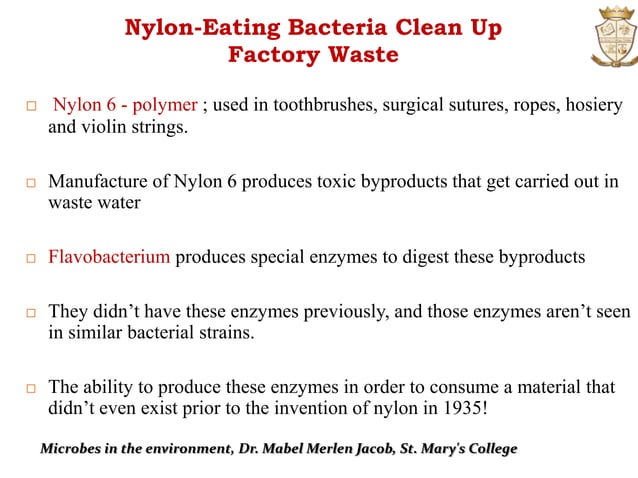 Microbiology:Microbes In The Environment | PPTX | Environment | Science