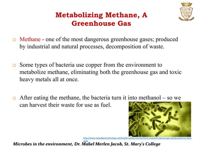 Microbiology:Microbes In The Environment | PPTX | Environment | Science