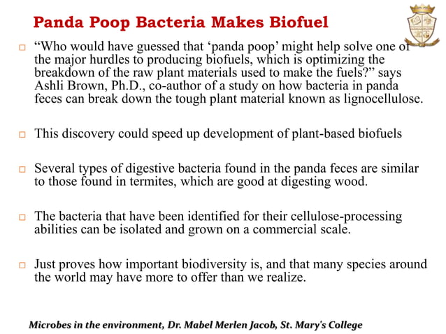 Microbiology:Microbes In The Environment | PPTX | Environment | Science