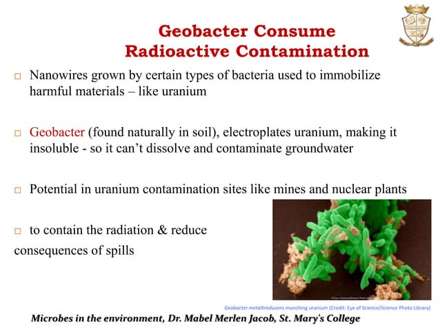 Microbiology:Microbes In The Environment | PPTX | Environment | Science
