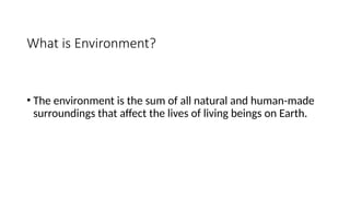 Explain If Environment A brief lecture on Environment PG 13.pptx