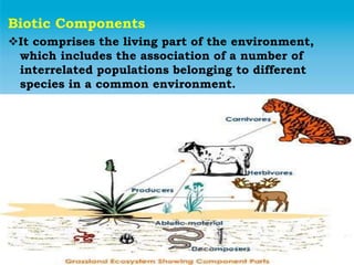 Biotic Components
It comprises the living part of the environment,
which includes the association of a number of
interrelated populations belonging to different
species in a common environment.
 