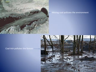 Mining coal pollutes the environment
Coal Ash pollutes the forests
 