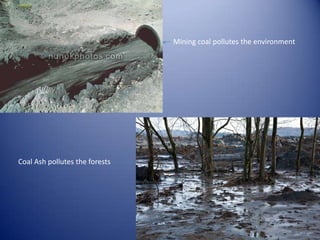 Mining coal pollutes the environment




Coal Ash pollutes the forests
 