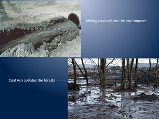 Mining coal pollutes the environment
Coal Ash pollutes the forests
 